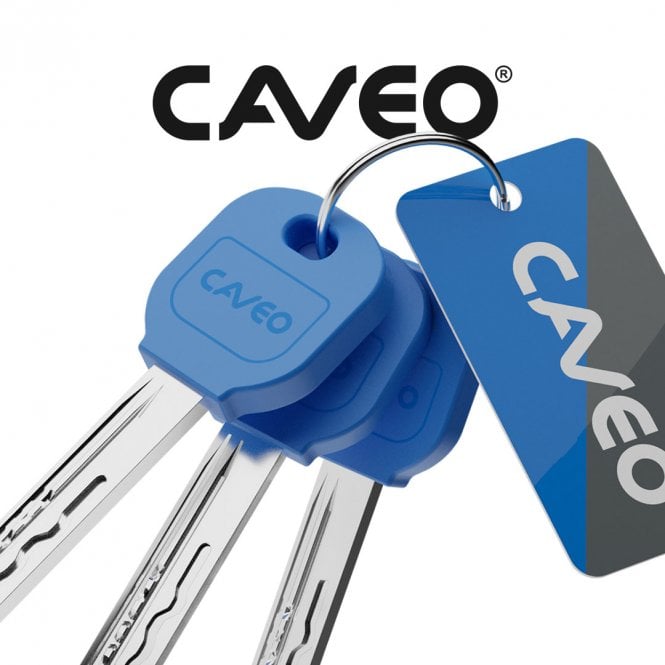 Caveo 35/35 High Security Euro Cylinder - TS007 3 Star Dual Finish