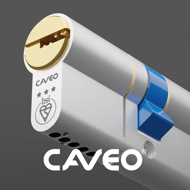 Caveo Keyed Alike Pair 45/45 High Security Euro Cylinder - TS007 3 Star Dual Finish